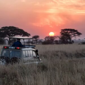 Discover Tanzania