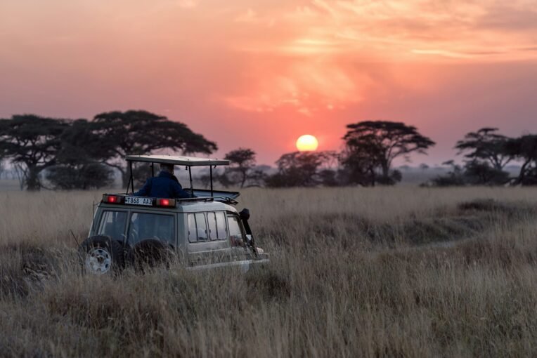 Discover Tanzania