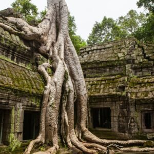 Glimpse of Cambodia